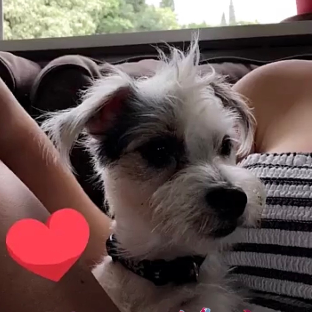 Meet your Posher, Niki